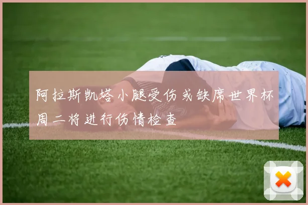 阿拉斯凯塔小腿受伤或缺席世界杯周二将进行伤情检查